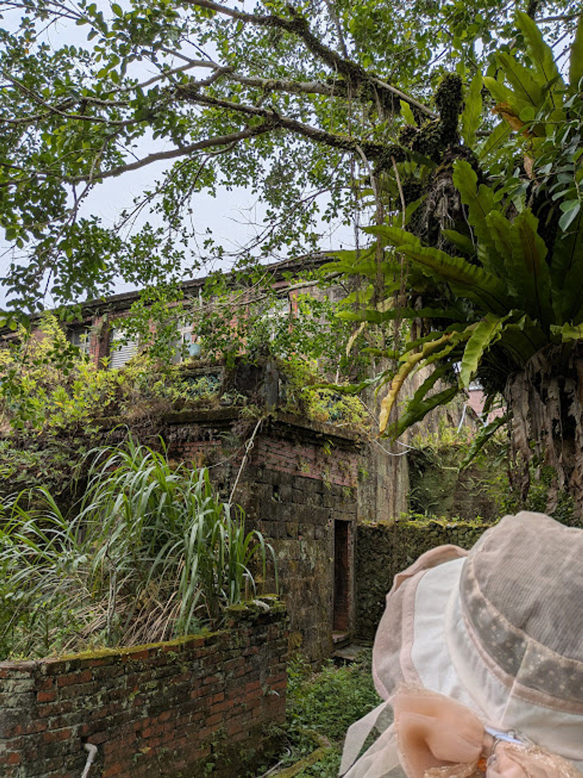 (哈囉，庄長在嗎?)