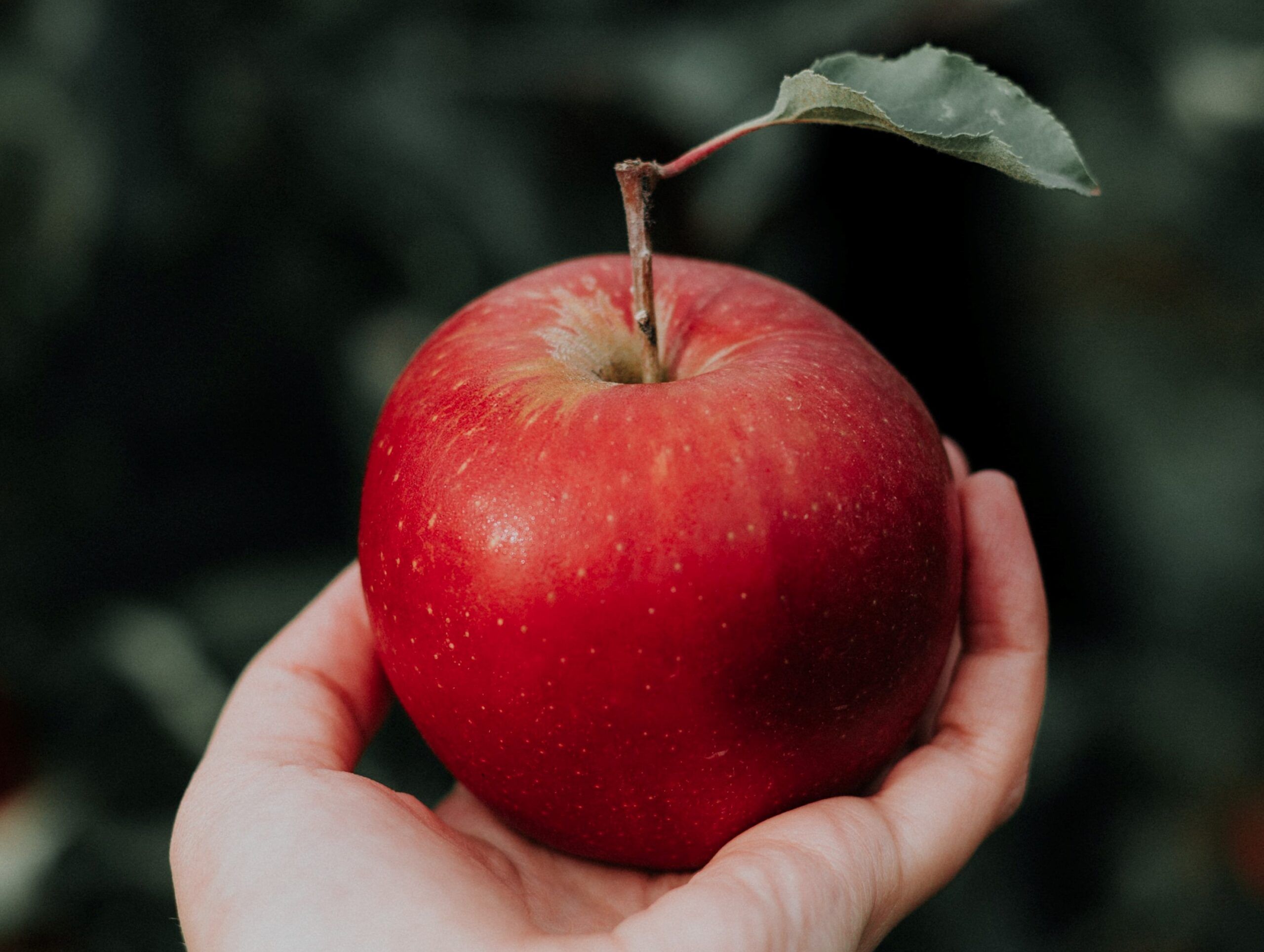 以為錯了，卻是祝福 封面圖