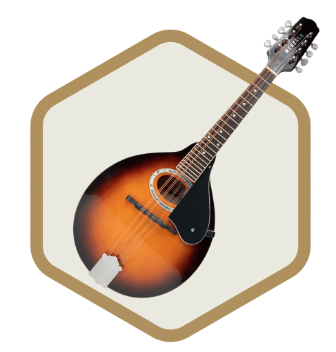 Mandolins