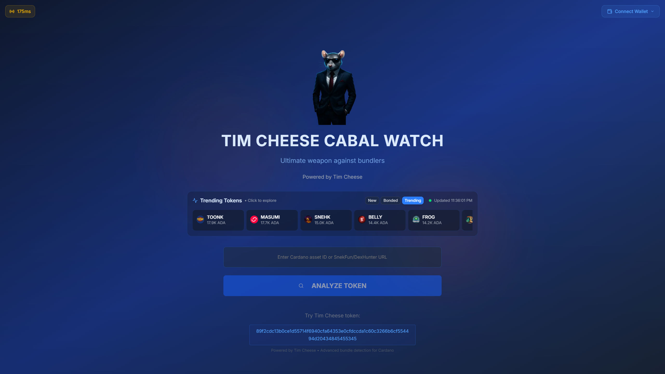 Tim Cheese Website - Image 3