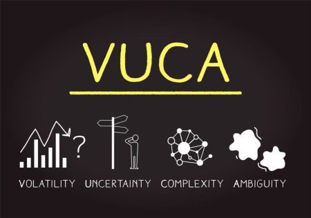 vuca2