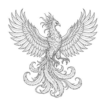 Phoenix line drawing