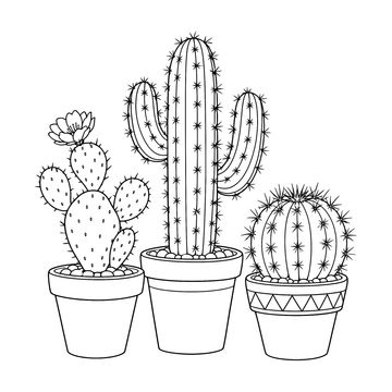 Cactus Trio line drawing