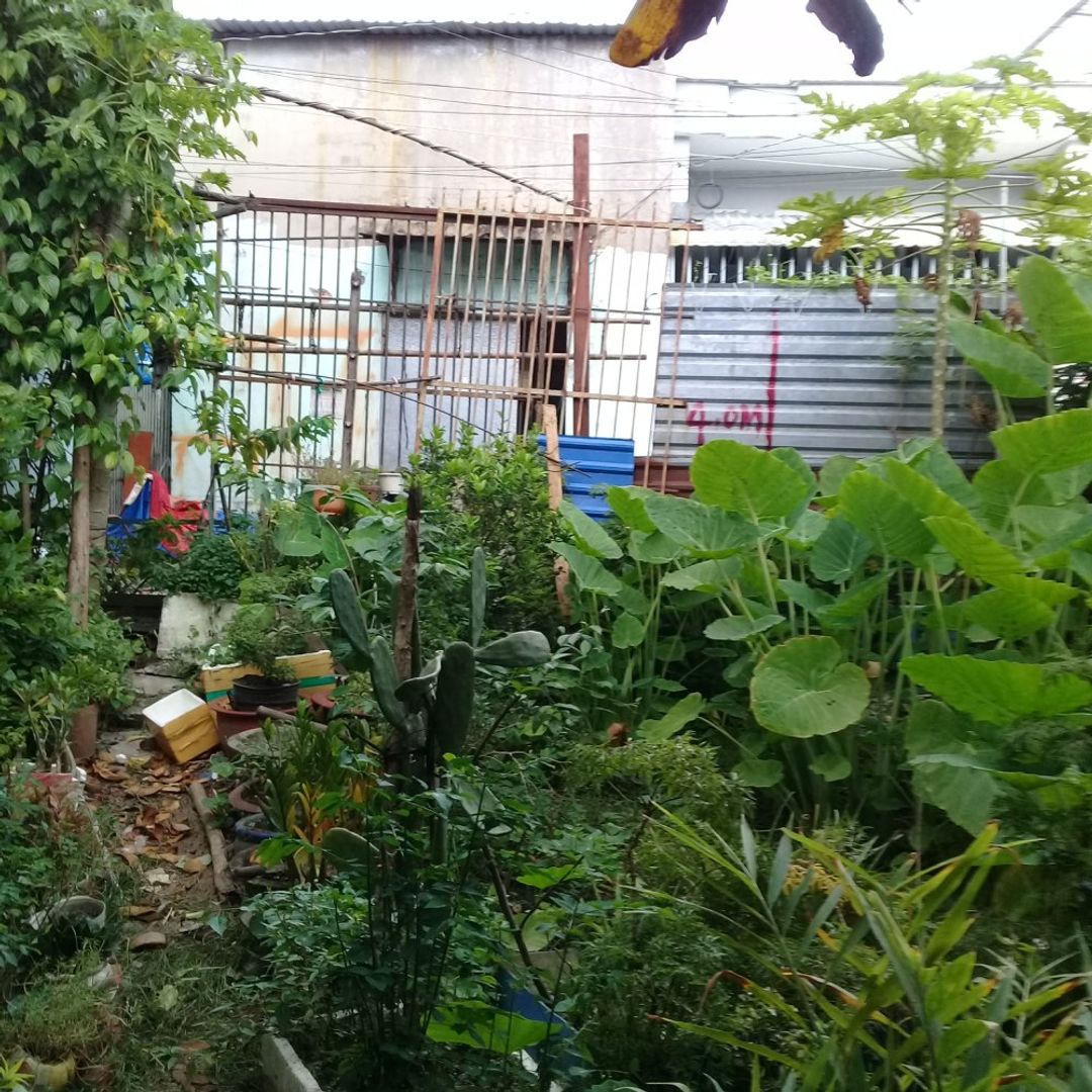 Đất nền dự án khu dân cư 64m2 =4mx16m, Khu công nghiệp Vĩnh Lộc, H. Bình Chánh, Tp. Hồ Chí Minh - ảnh 13