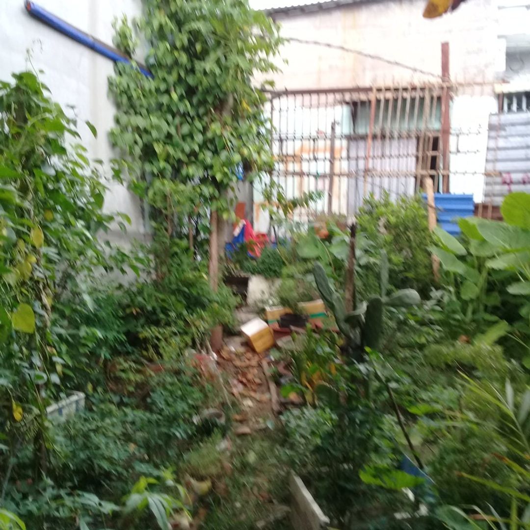Đất nền dự án khu dân cư 64m2 =4mx16m, Khu công nghiệp Vĩnh Lộc, H. Bình Chánh, Tp. Hồ Chí Minh - ảnh 11