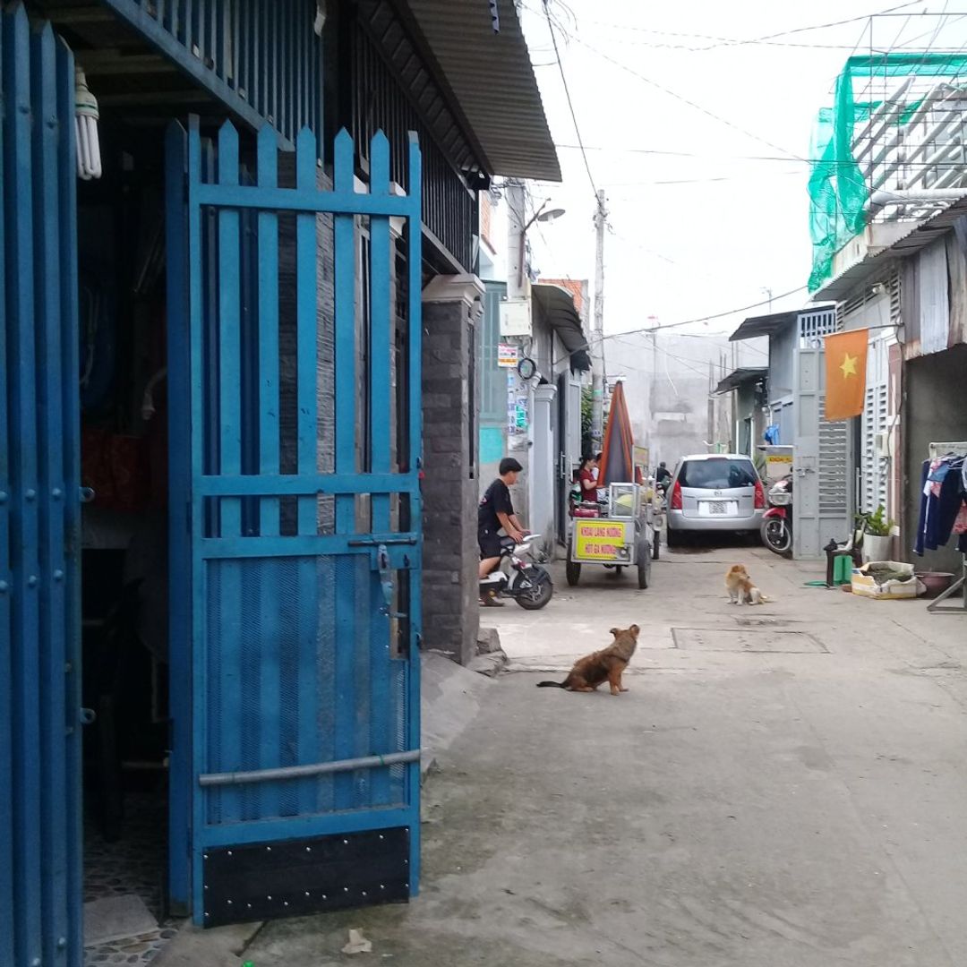Đất nền dự án khu dân cư 64m2 =4mx16m, Khu công nghiệp Vĩnh Lộc, H. Bình Chánh, Tp. Hồ Chí Minh - ảnh 18