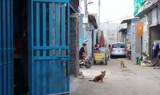 Đất nền dự án khu dân cư 64m2 =4mx16m, Khu công nghiệp Vĩnh Lộc, H. Bình Chánh, Tp. Hồ Chí Minh - thumbnail 18