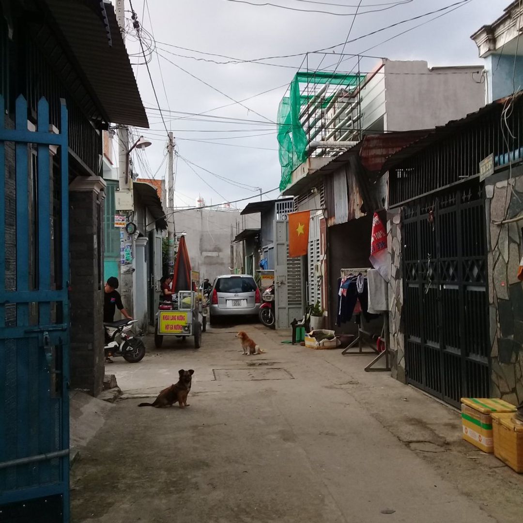 Đất nền dự án khu dân cư 64m2 =4mx16m, Khu công nghiệp Vĩnh Lộc, H. Bình Chánh, Tp. Hồ Chí Minh - ảnh 16