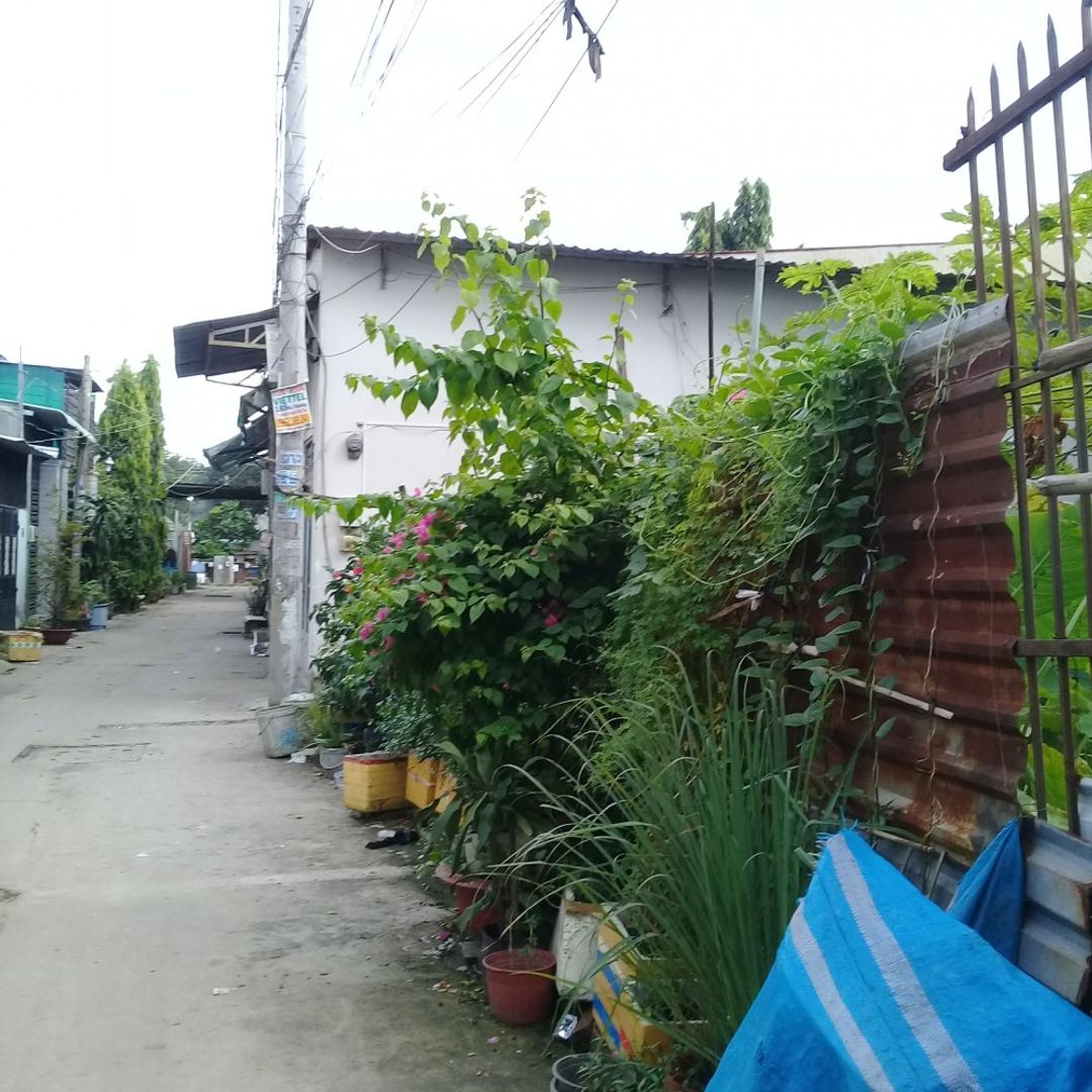 Đất nền dự án khu dân cư 64m2 =4mx16m, Khu công nghiệp Vĩnh Lộc, H. Bình Chánh, Tp. Hồ Chí Minh - ảnh 15