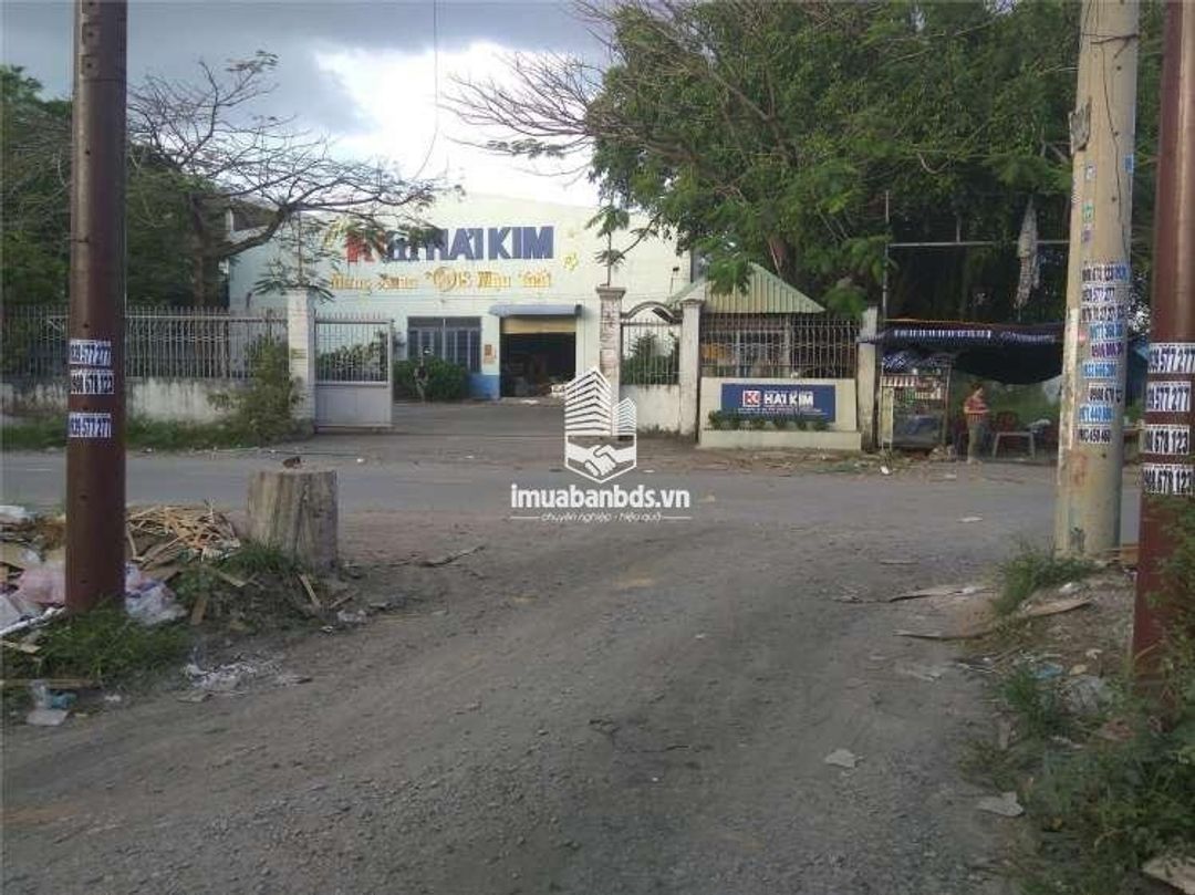 Cần Bán Xuân Thới 8 Ngay Trục đường Trần Văn Mười Hóc Môn Giá Rẻ - ảnh 1