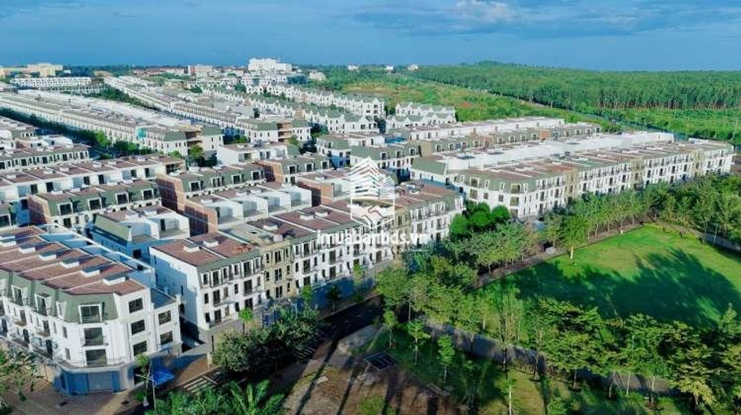 Biệt thự đơn lập góc 3 mặt tiền dự án Ecocity 257m2 giá cực tốt - ảnh 2