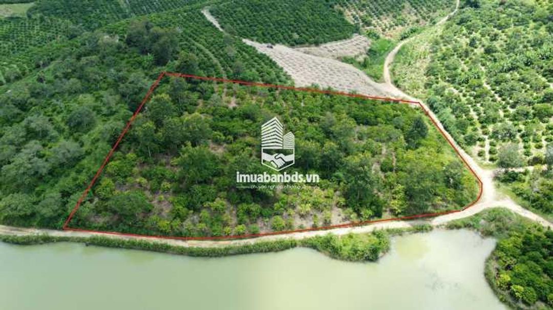 Bán đất 2 mặt tiền view hồ Điện Tân Krong Bong - ảnh 2