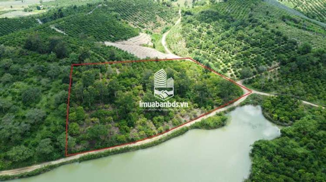 Bán đất 2 mặt tiền view hồ Điện Tân Krong Bong - ảnh 4