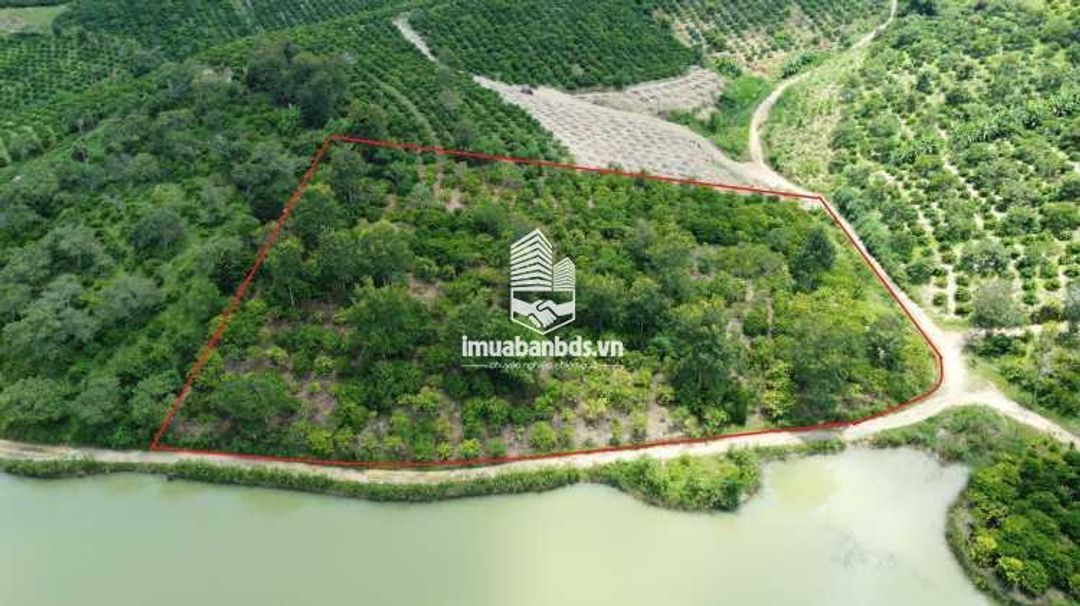Bán đất 2 mặt tiền view hồ Điện Tân Krong Bong - ảnh 3