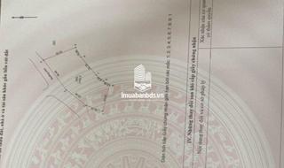 Bán 2.000m2, mặt tiền 52m, mặt đường quốc lộ 32 Hoài Đức, Hà Nội - thumbnail 2
