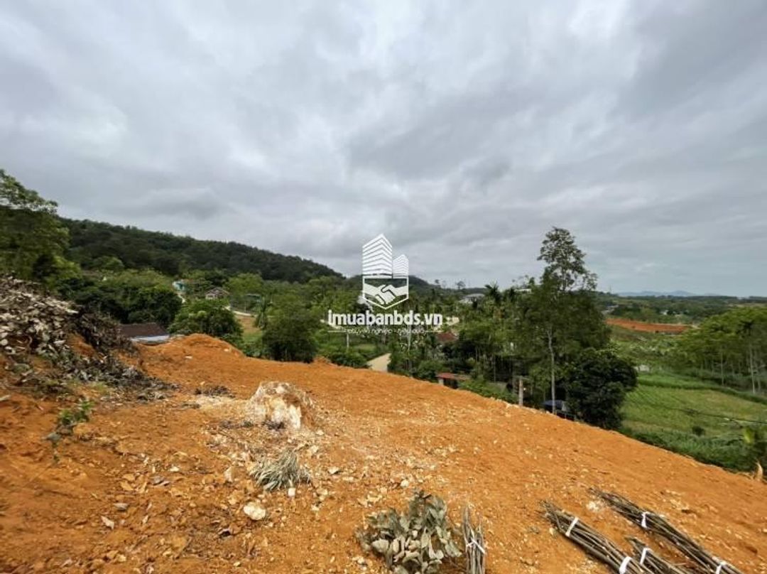 Bán 2.000m2, mặt tiền 52m, mặt đường quốc lộ 32 Hoài Đức, Hà Nội - ảnh 3