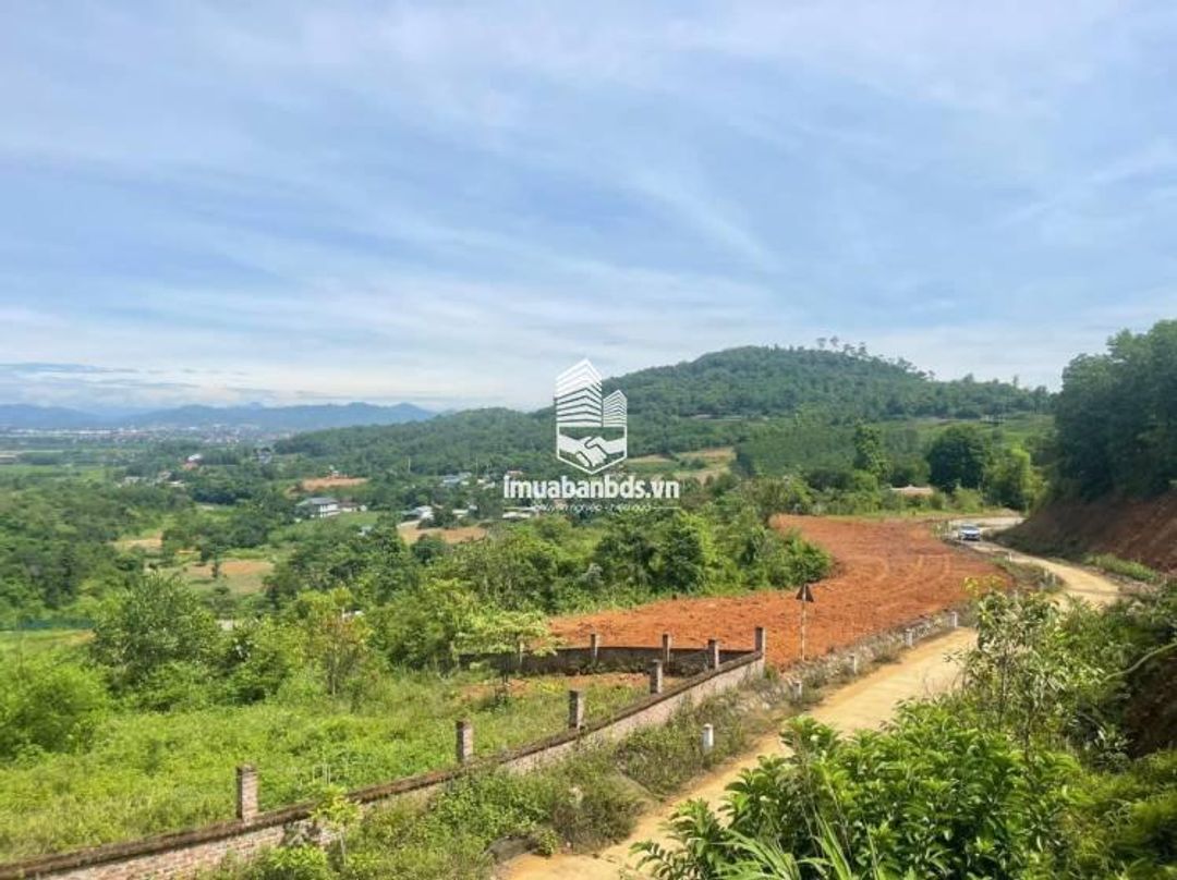 Bán 1393m2 đất ở xã Ba Vì giáp Dy lưng tựa núi Ba Vì view Sông Đà giá 1.5ty - ảnh 1