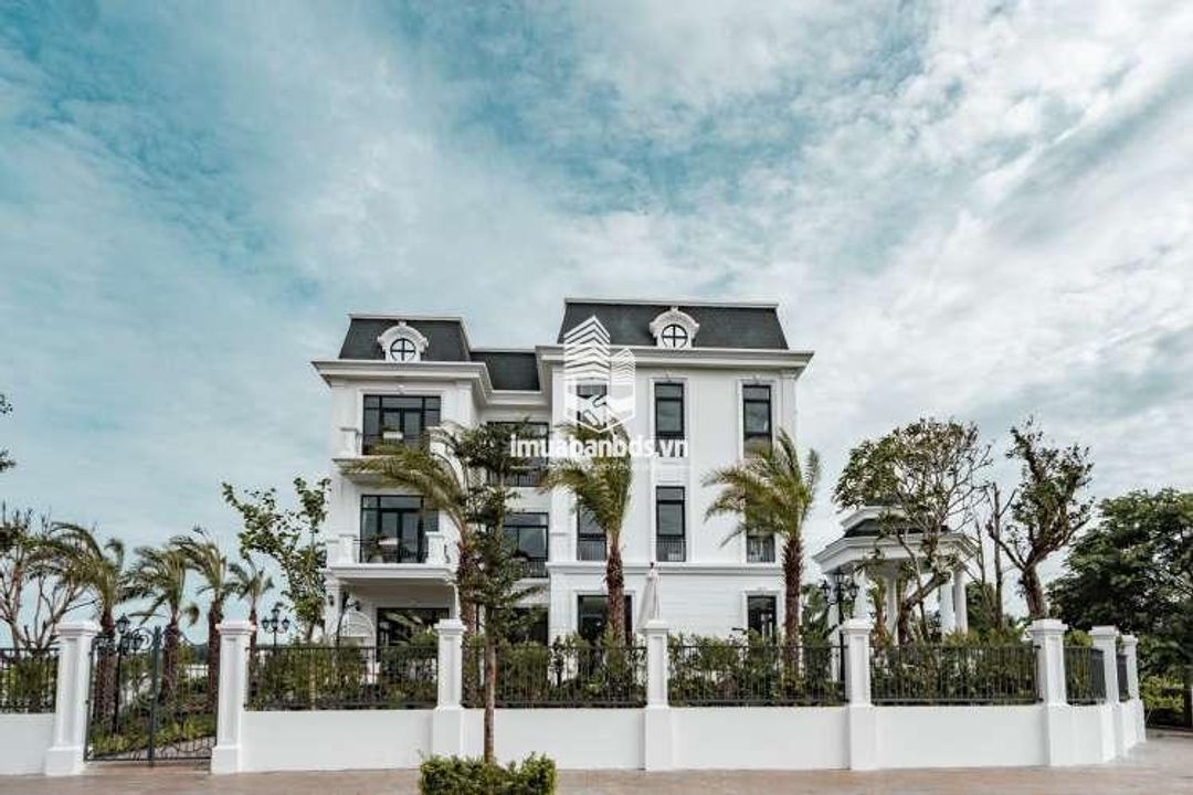 Bán biệt thự song lập 250m2 view hồ giá cực tốt. - ảnh 5