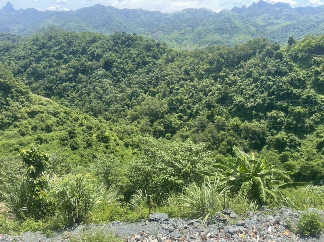 Bán 17.146m2 lô góc đất Thương mại, dịch vụ thị trấn Lương Sơn giá 3 tr/m2 - ảnh 4