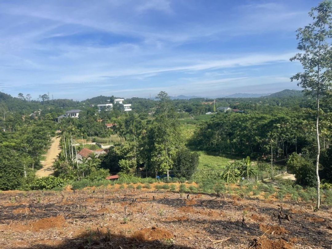 Bán 17.146m2 lô góc đất Thương mại, dịch vụ thị trấn Lương Sơn giá 3 tr/m2 - ảnh 1