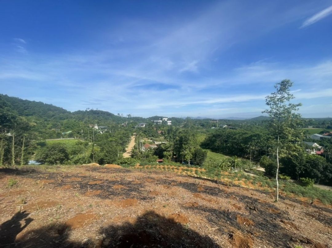 Bán 17.146m2 lô góc đất Thương mại, dịch vụ thị trấn Lương Sơn giá 3 tr/m2 - ảnh 2