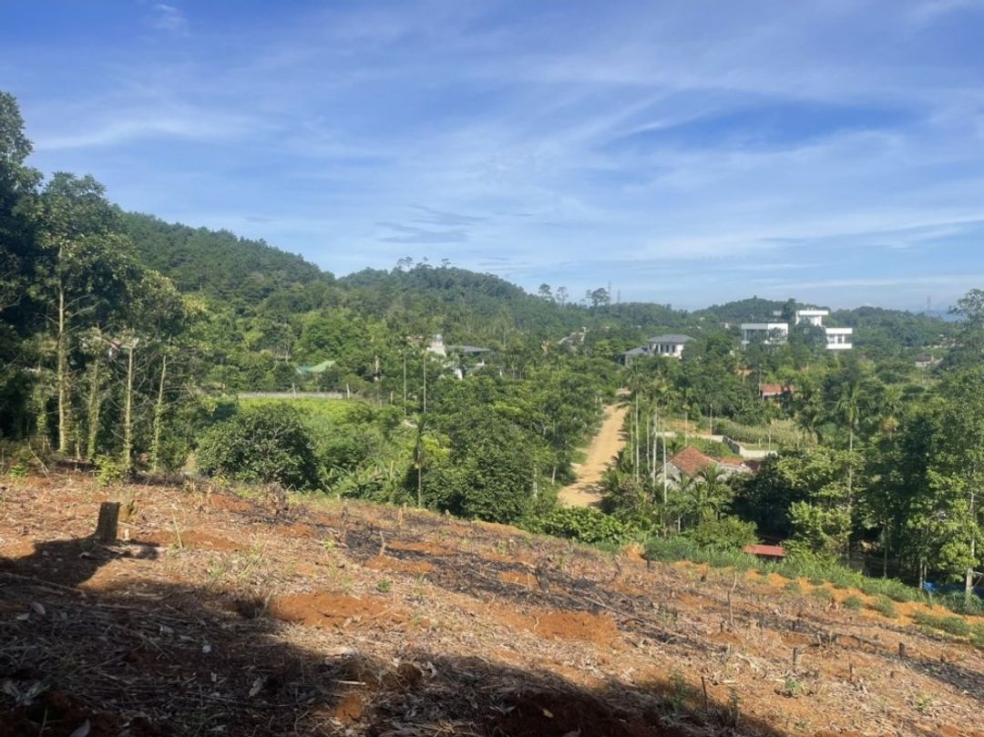 Bán 17.146m2 lô góc đất Thương mại, dịch vụ thị trấn Lương Sơn giá 3 tr/m2 - ảnh 5