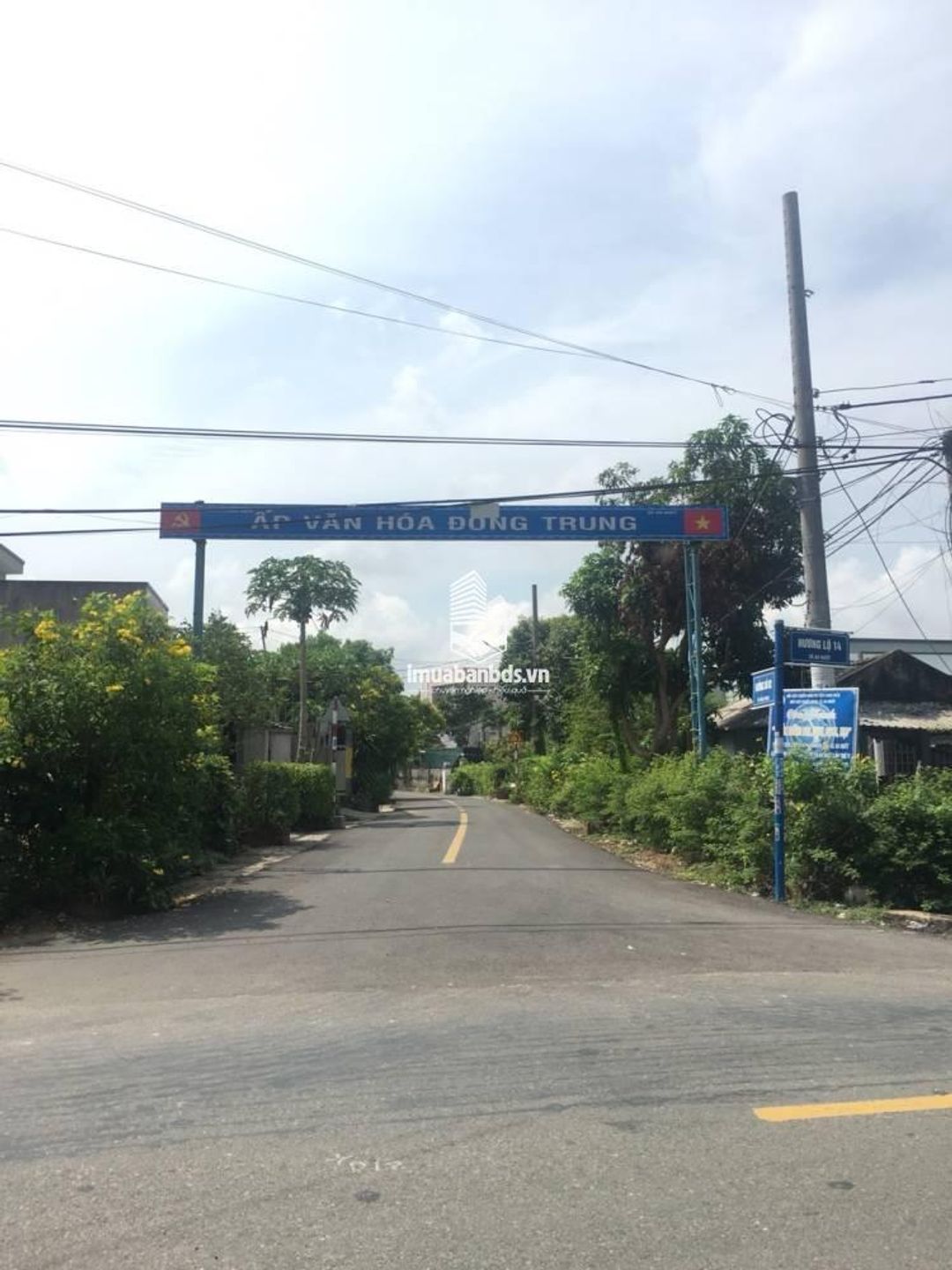 Bán 246 m hai m mặt tiền đường nhựa An Nhứt- Long Điền - Bà Rịa - ảnh 2