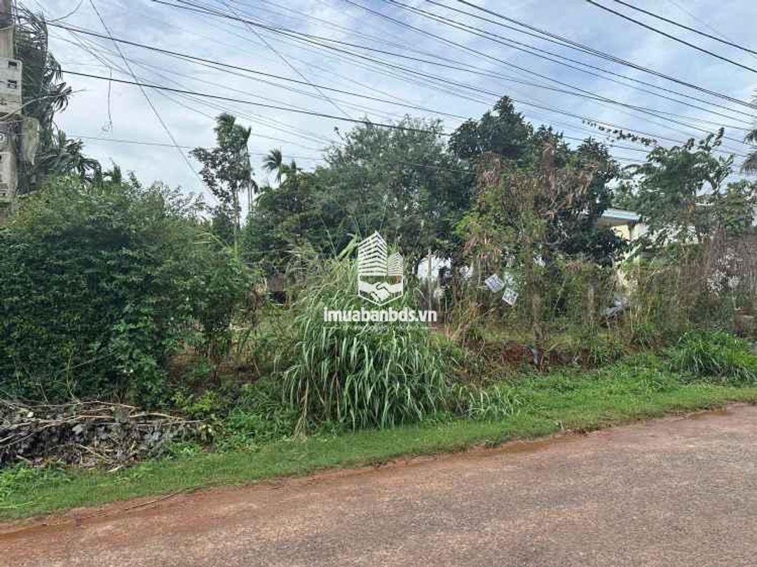 Bán đất hẻm 194 Nguyễn Lương Bằng giá đầu tư. - ảnh 2
