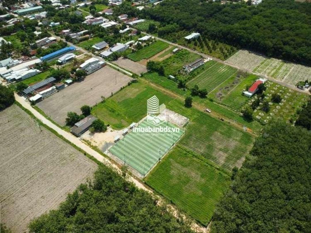 Bán đất ngay trung tâm thị trấn Tân Châu Tây Ninh - ảnh 1