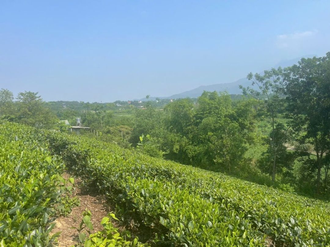 Bán 1440m2 đất tại thôn 2, Ba Trại, Ba Vì, Hà Nội.  Giáp dự án FLC View hồ - ảnh 5