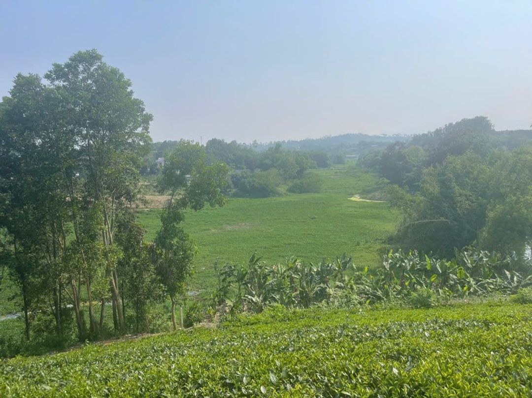 Bán 1440m2 đất tại thôn 2, Ba Trại, Ba Vì, Hà Nội.  Giáp dự án FLC View hồ - ảnh 6