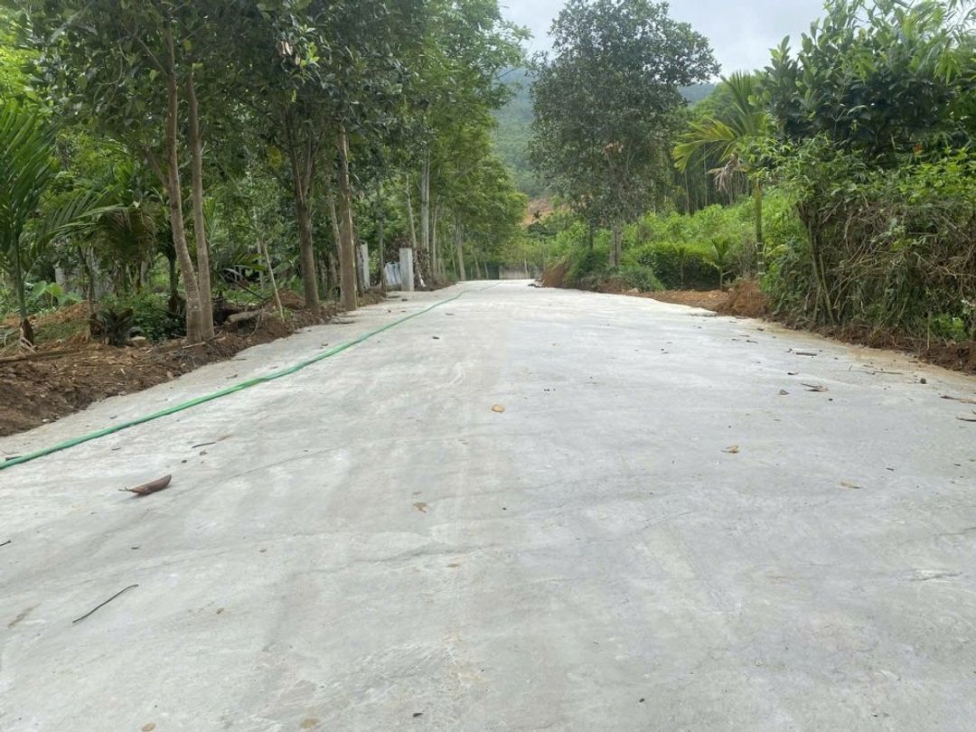 Bán 18858.8m2 đất nghỉ dưỡng view đẹp Thanh Thủy, Phú Thọ. Giá 1tr/m2 - ảnh 4