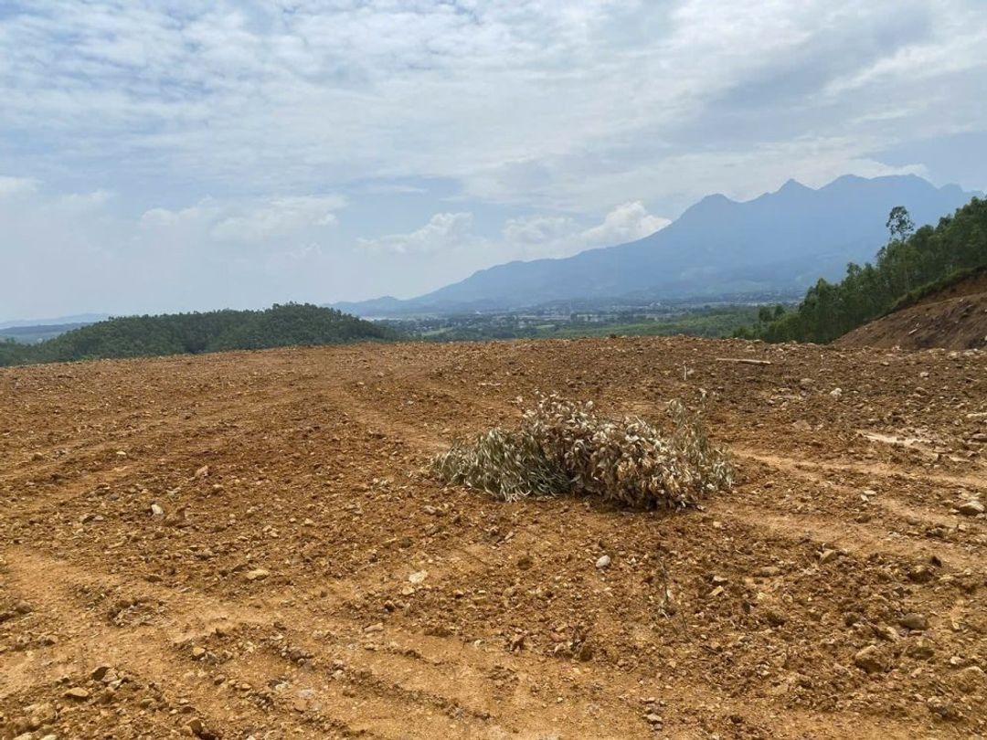 Bán 18858.8m2 đất nghỉ dưỡng view đẹp Thanh Thủy, Phú Thọ. Giá 1tr/m2 - ảnh 5