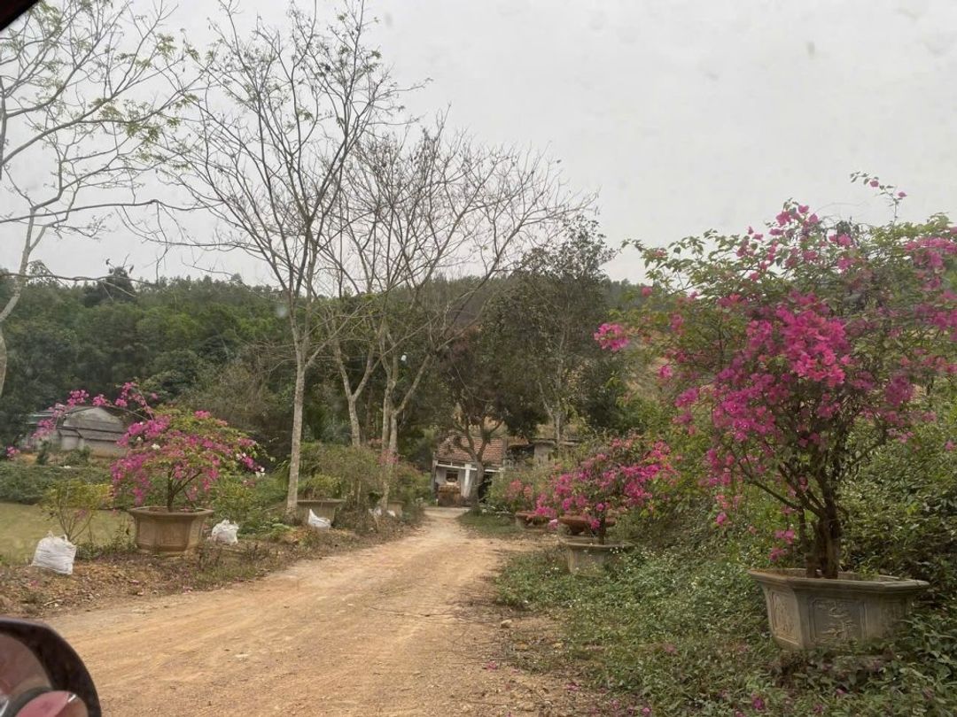 Bán 18858.8m2 đất nghỉ dưỡng view đẹp Thanh Thủy, Phú Thọ. Giá 1tr/m2 - ảnh 3