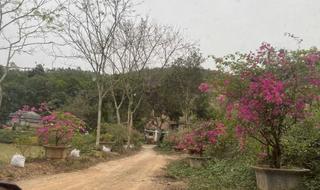 Bán 18858.8m2 đất nghỉ dưỡng view đẹp Thanh Thủy, Phú Thọ. Giá 1tr/m2 - thumbnail 3