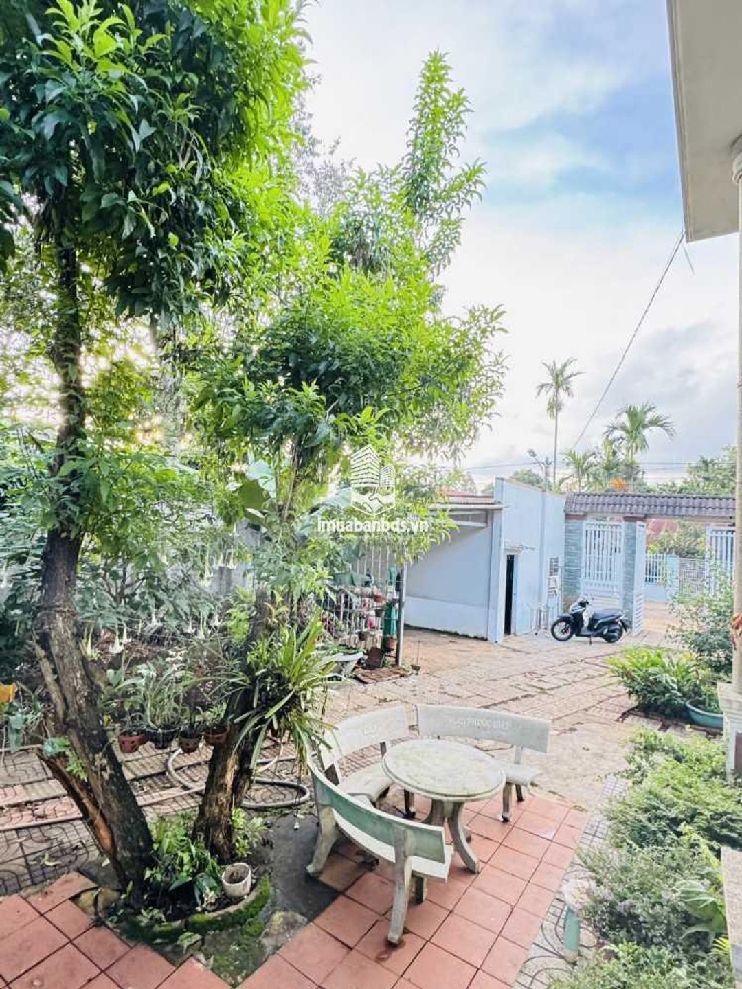 Biệt thự nghỉ dưỡng 1200m2 tại Eatu, đường thông thoáng, giá tốt.  - ảnh 8