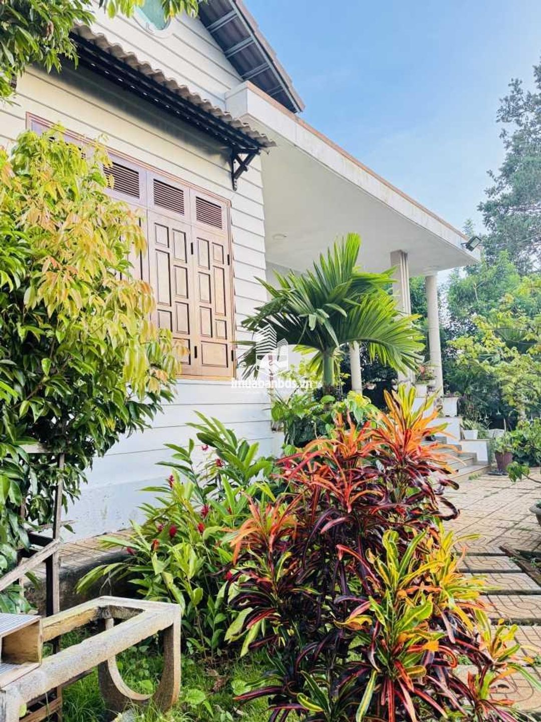 Biệt thự nghỉ dưỡng 1200m2 tại Eatu, đường thông thoáng, giá tốt.  - ảnh 6