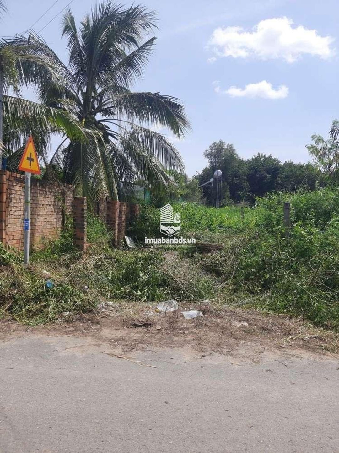 Bán đất mặt tiền huyện Đức Linh Nguyễn Tri Phương có 100m2 ODT - ảnh 3