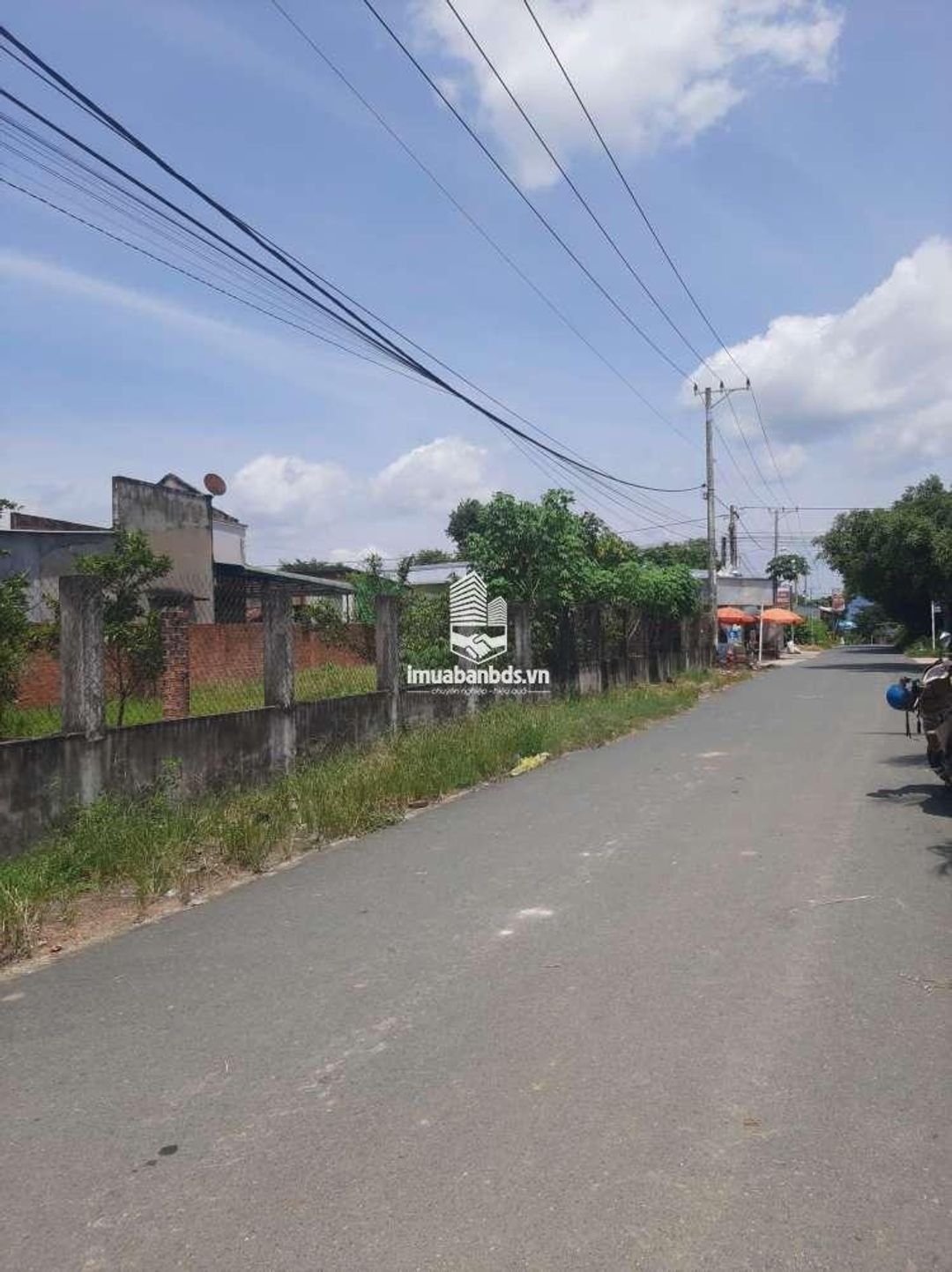Bán đất mặt tiền huyện Đức Linh Nguyễn Tri Phương có 100m2 ODT - ảnh 2
