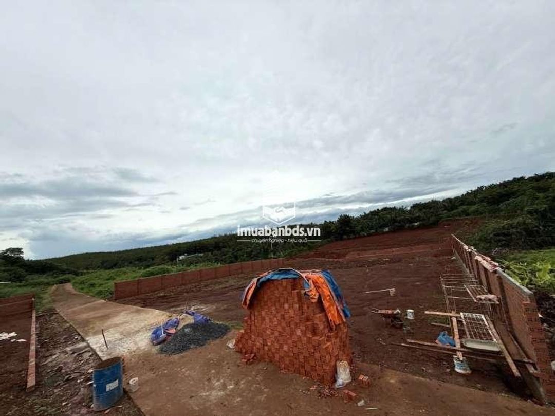 Bán đất TMDV đói diện KĐT Ân Phú TP Buôn Ma Thuột giá tốt. - ảnh 4