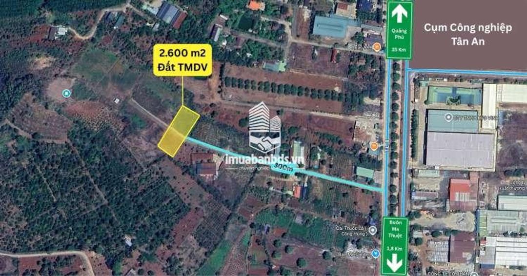 Bán đất TMDV đói diện KĐT Ân Phú TP Buôn Ma Thuột giá tốt. - ảnh 5