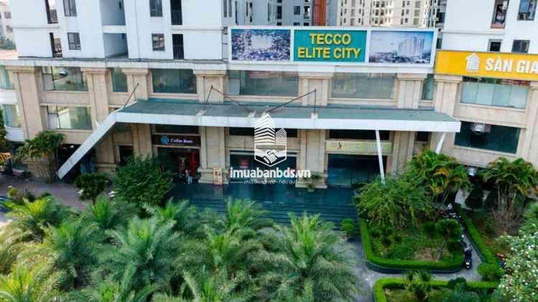 TECCO ELITE CITY – RA MẮT TOÀ A1 CƠ HỘI SỞ HỮU CĂN HỘ ĐẸP NHẤT DỰ ÁN! - ảnh 9