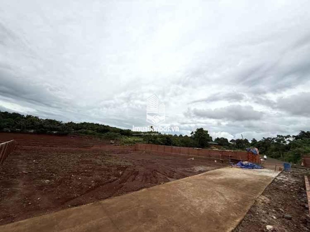 Bán 2 lô 1200m2 đất nông nghiệp quy hoạch TMDV đối diện Khu đô thị Ân Phú - ảnh 1