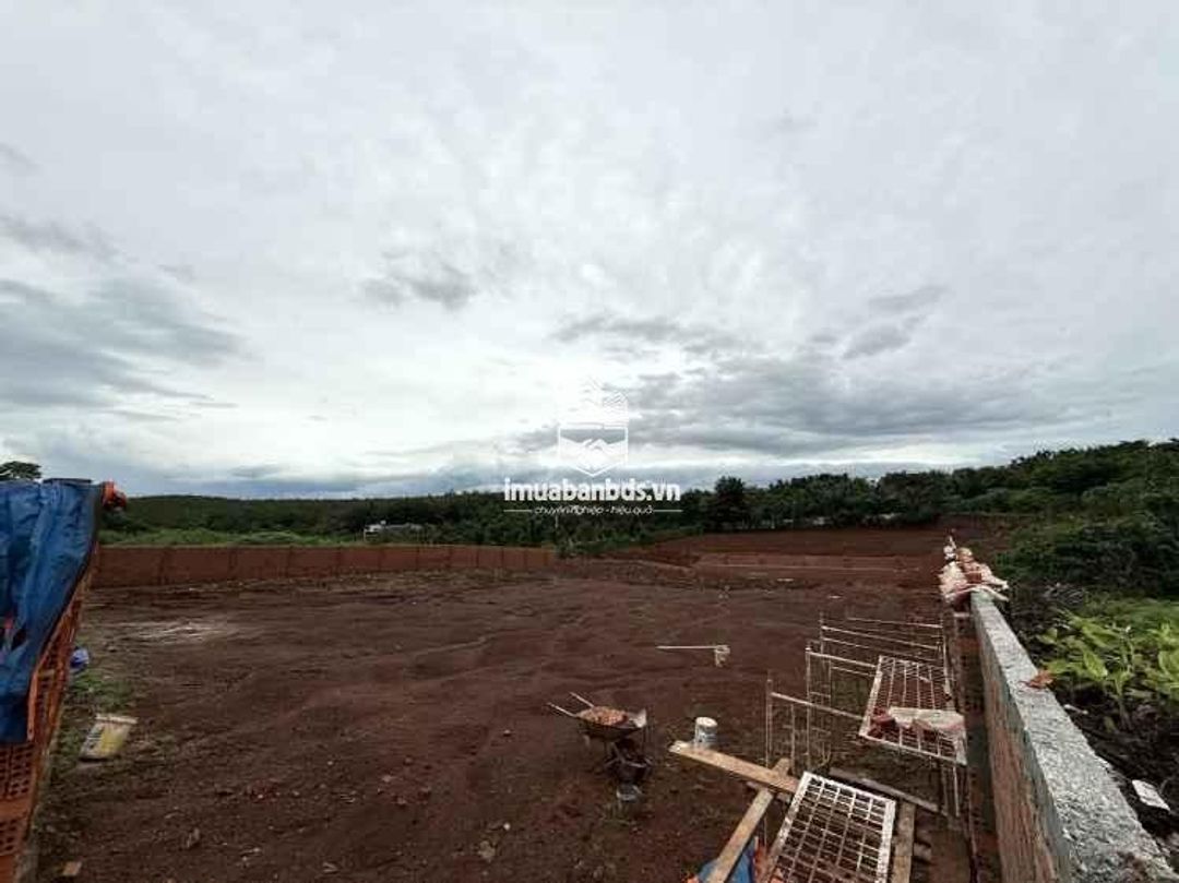 Bán 2 lô 1200m2 đất nông nghiệp quy hoạch TMDV đối diện Khu đô thị Ân Phú - ảnh 4