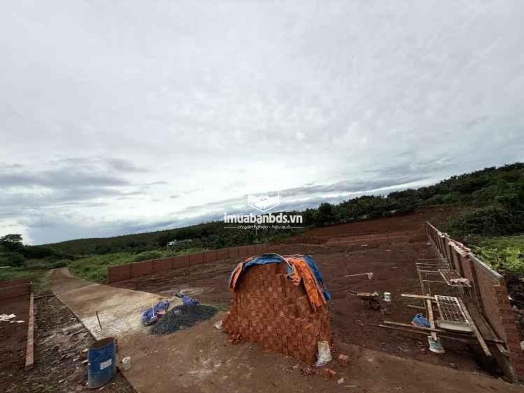 Bán 2 lô 1200m2 đất nông nghiệp quy hoạch TMDV đối diện Khu đô thị Ân Phú - ảnh 5