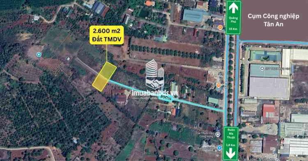 Bán 2 lô 1200m2 đất nông nghiệp quy hoạch TMDV đối diện Khu đô thị Ân Phú - ảnh 6