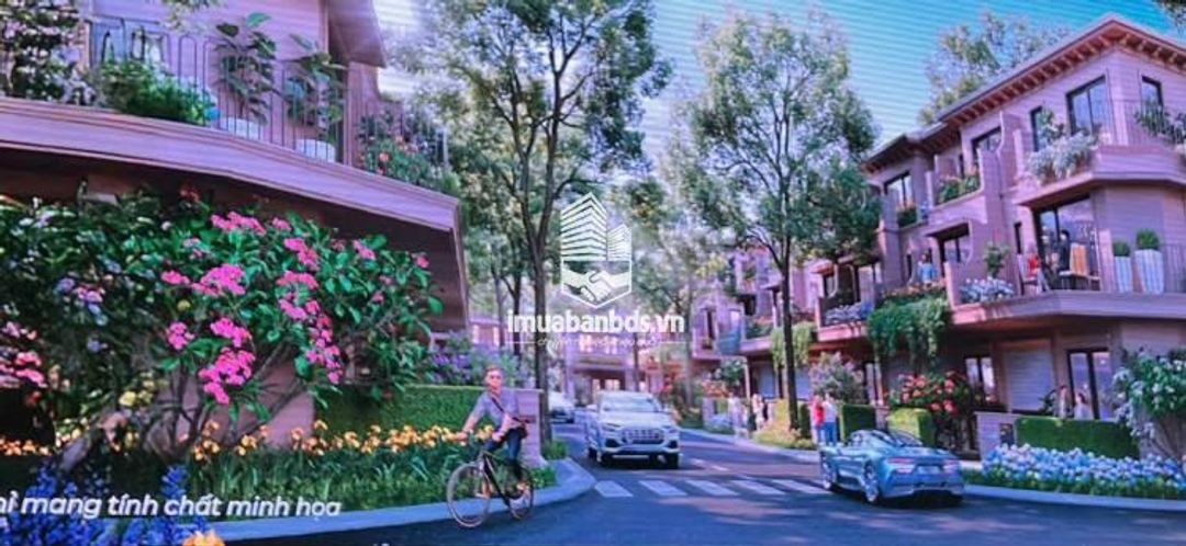 Shophouse Mặt Đường Lê Hồng Phong - ảnh 5