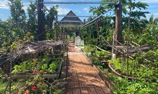 Bán đất nghỉ dưỡng 2400m2 cách BMT chỉ 7km - thumbnail 2