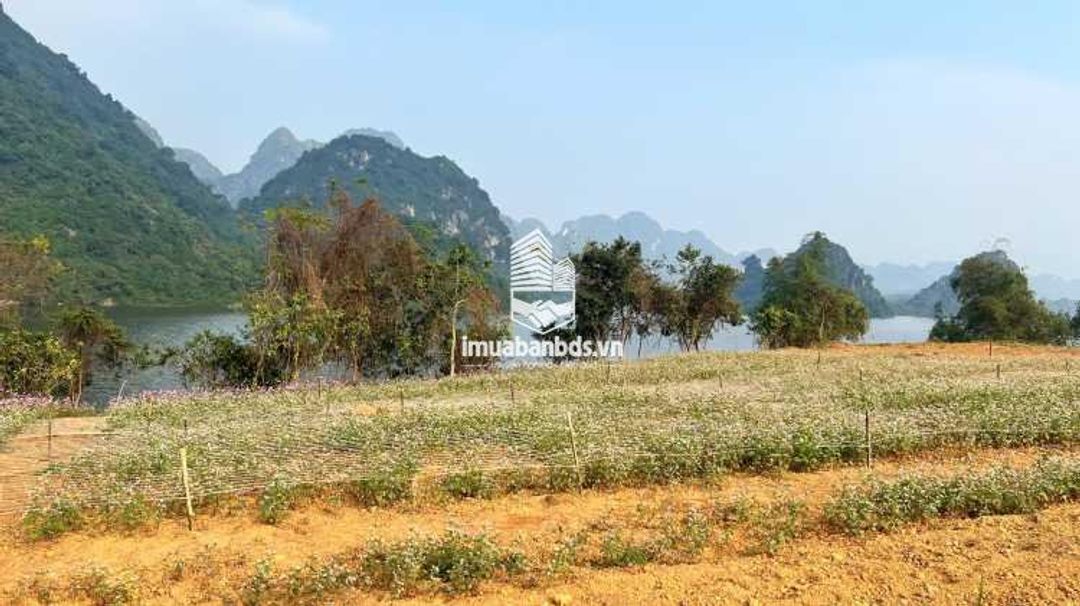 Bán Biệt Thự nghỉ dưỡng, Shophouse dự án Utopia tại Phú Thọ - Hòa Bình cũ - ảnh 3
