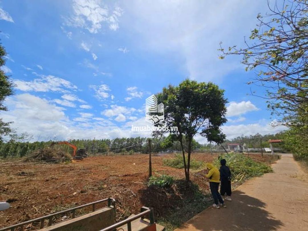 Đất Thổ Cư 3900m2 Ea Drong 650m2 Thổ Cư - Gần Khu Công Nghiệp Phú Xuân - ảnh 2